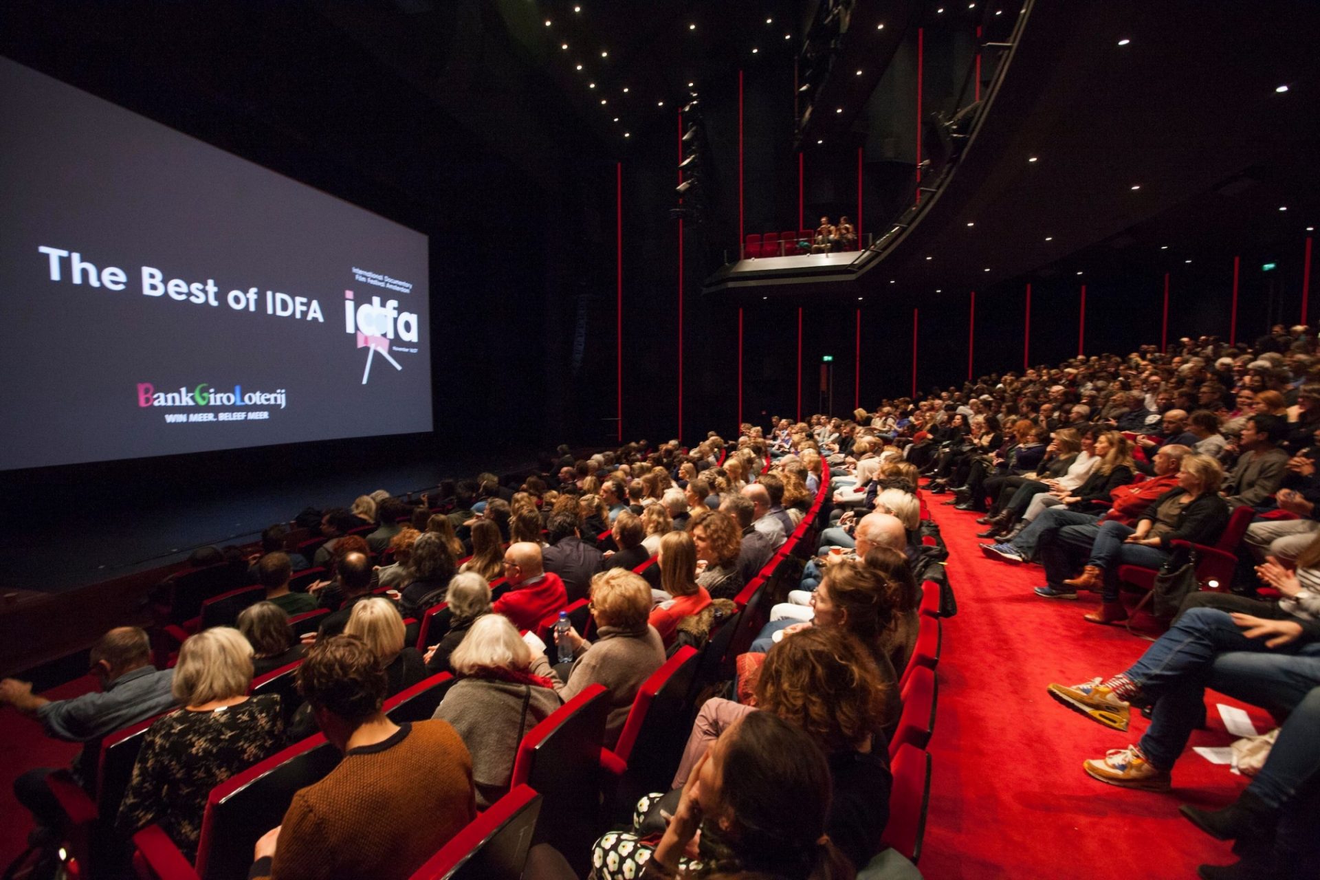 Novia invención Leia Distribución de documentales: 5 festivales para empezar ahora - Ismael  Martin